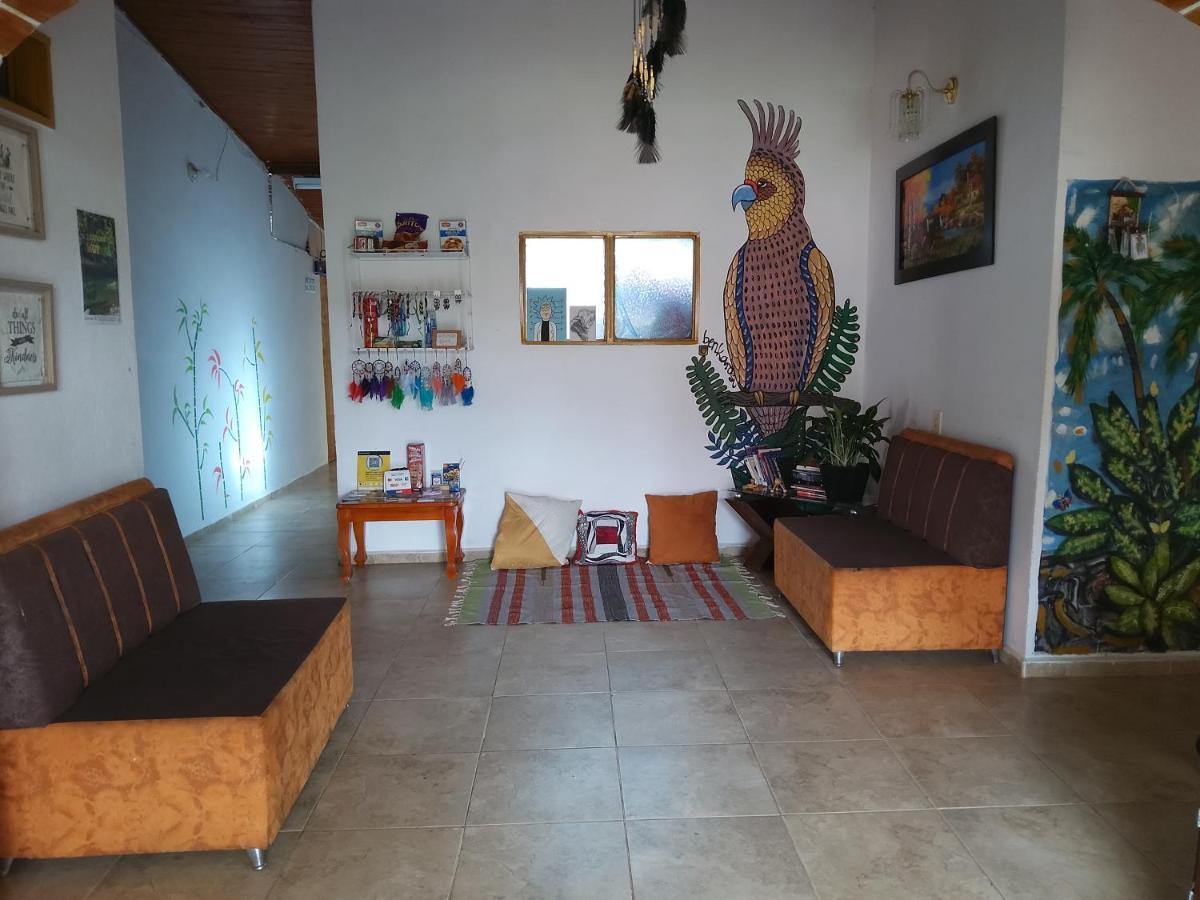 Artesanos Y Turistas Appartement Guatapé Buitenkant foto